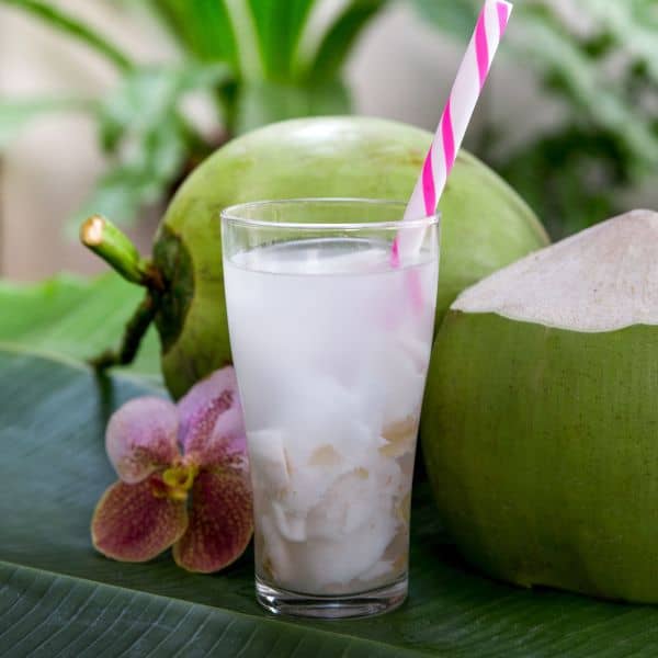 coconut water drink recipe
