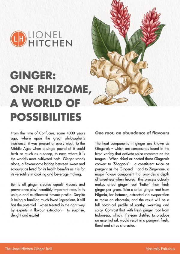 Ginger Report