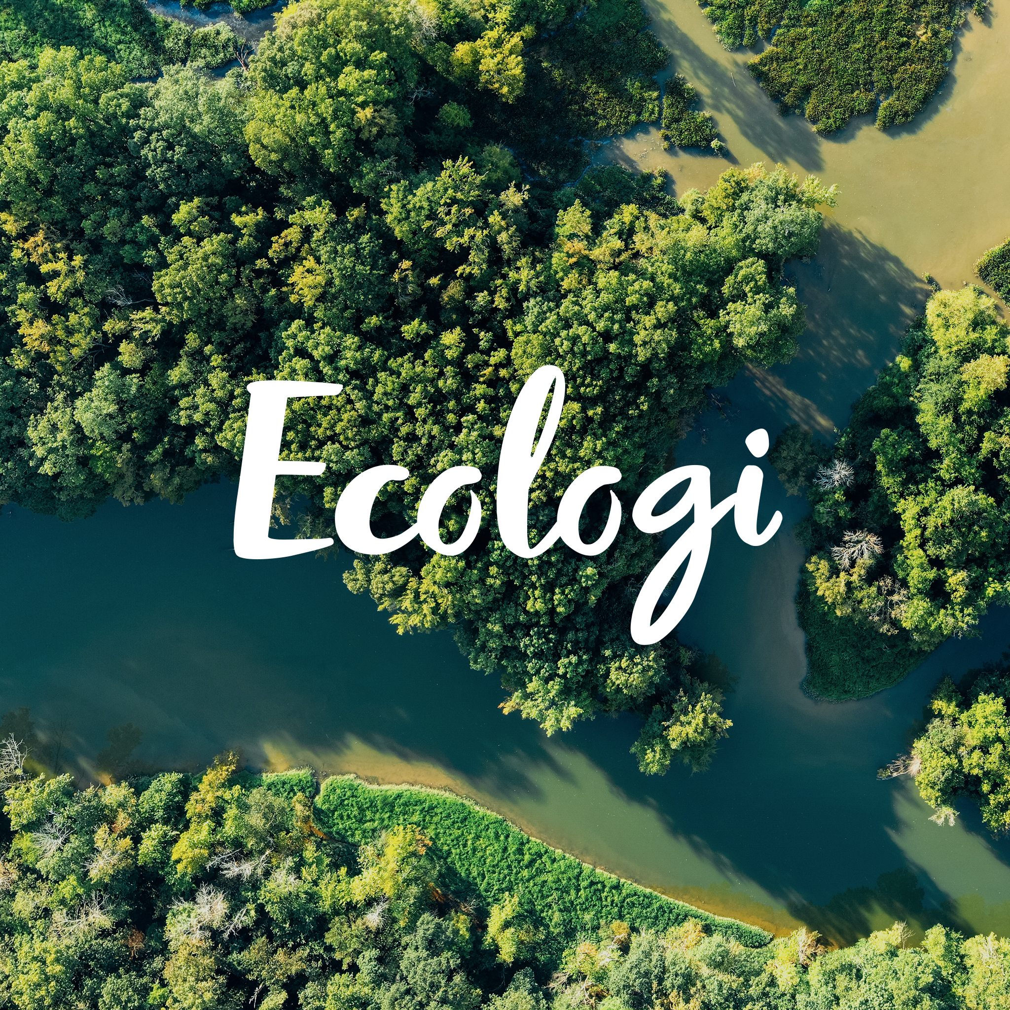 Ecologi