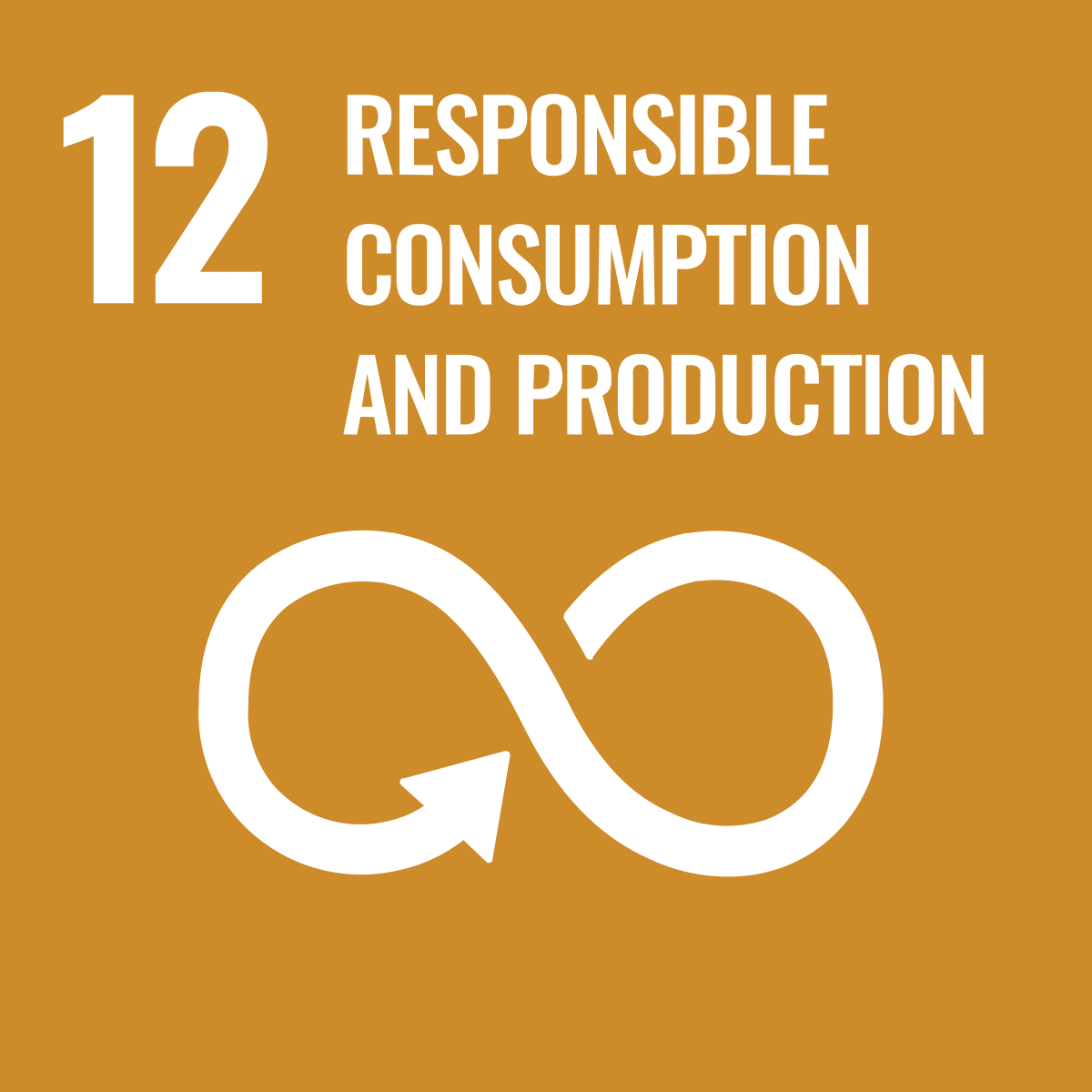 Ensure sustainable consumption and production patterns
